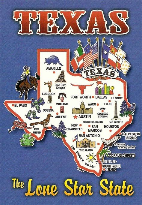 Texas The Lone Star State Map In 2021 Texas Pillow State Map