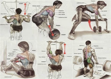 Gym Workout Chart All