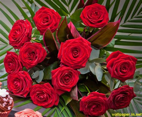 Download and use 10,000+ red rose beach stock photos for free. Red Rose Desktop Wallpapers (37 Wallpapers) - Adorable ...