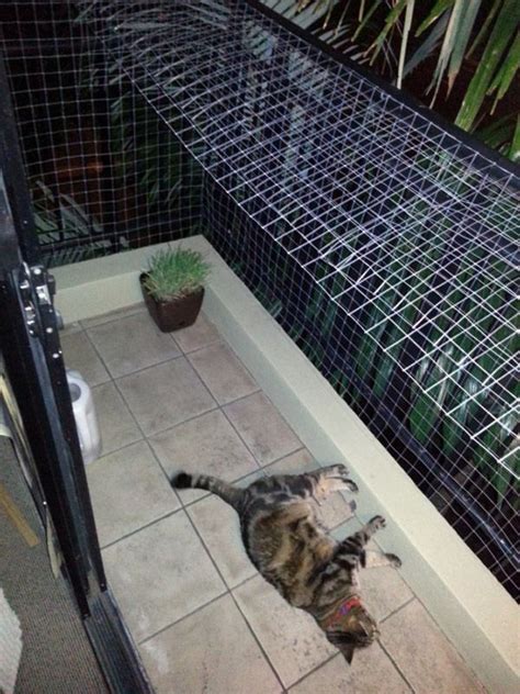 How One Redditor Solved His Cat And Balcony Problem Cat Proof Balcony