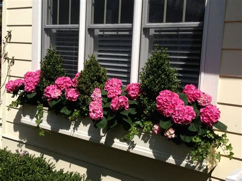 With a touch of flowers, succulents, or herbs, these pros really know how to turn an ordinary window into a true work of art. Flower Framers window box - Yelp