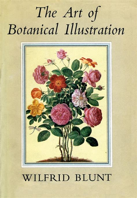 Botanical Illustration In Art History Illustration Arts Ideas