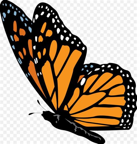Monarch Butterfly Nymphalidae Clip Art Png 1042x1093px Monarch