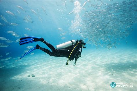 Guide To Diving In Coron Palawan Explore Shipwrecks From