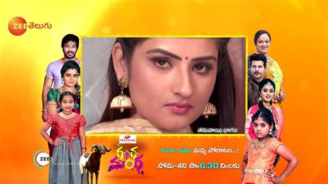 Akka Chellellu Zee Telugu Show Watch Online Gillitv