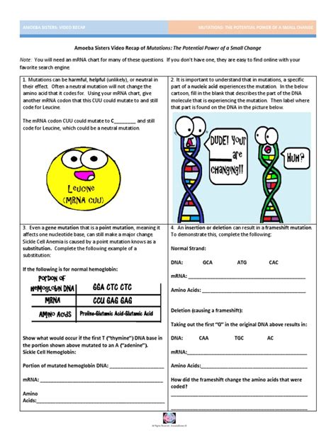 Amoeba Sisters Video Recap Alleles And Genes Worksheet Answer Key