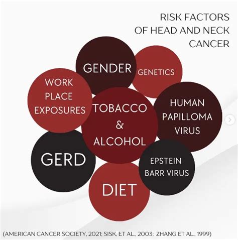 Understanding The Risk Factors Of Head And Neck Cancer Larys Speakeasy