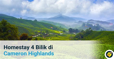 They are homestay in ringlet, habu, tanah rata, taman sedia, brinchang, tringkap, kuala terla. Chalet dan 26 Homestay Pilihan di Cameron © LetsGoHoliday.my