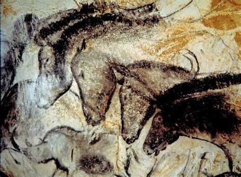 Cave Painting Of Horses From The Hillaire Chamber Chauvet Cave