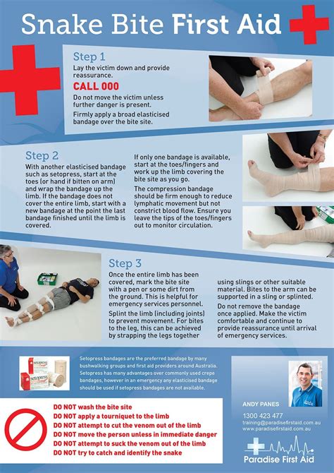 Snake Bite First Aid | First aid, First aid classes, First 