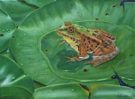 Frog On Lily Pad Painting By Sidney Ball Fine Art America