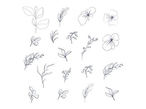 Draw very lightly, and later press harder to draw thick lines over the thin ones—don't press hard until you're sure draw the lines quickly, evenly, with a constant level of pressure. Floral pencil drawing one line art elements, Vector By ...