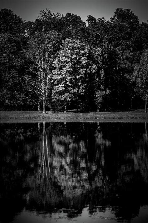 Tree Reflection Photograph By Jason Wade