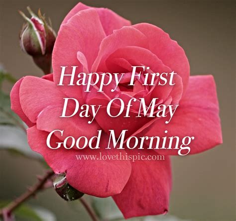 Happy First Day Of May Good Morning Pictures Photos And Images For