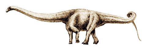 Ayrıca d.hallorum olarak da adlandırılır. Acrocanthosaurus, photos | fossil - Real dinosaur picture