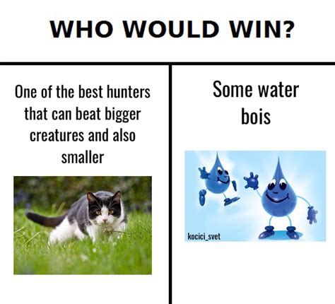 Who Would Win Meme Memes Photo Funny