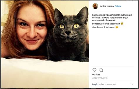 pin by bruce sterling on maria butina lucky cat cats maria