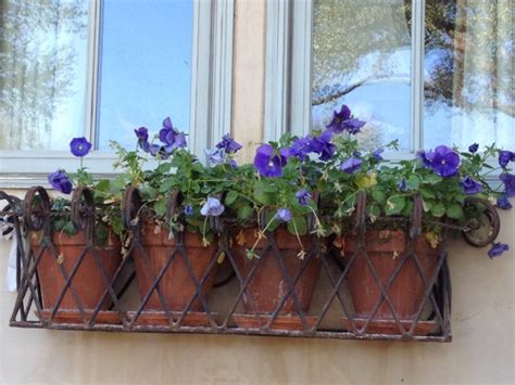 Items Similar To Classic Solid Wrought Iron Window Boxes On Etsy