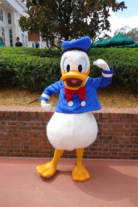 Donald Duck At Epcot