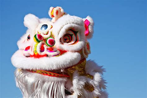 Chinese Dragon Puppet Stock Photos Pictures And Royalty Free Images Istock