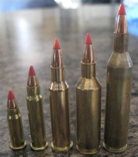22 Hornet Vs 22 Mag 14 Images Savage B Mag 17 Winchester Super Magnum