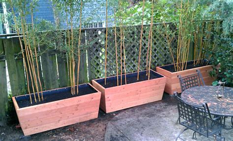 Garden design ideas for bamboo. 10 Bamboo Landscaping Ideas - Garden Lovers Club