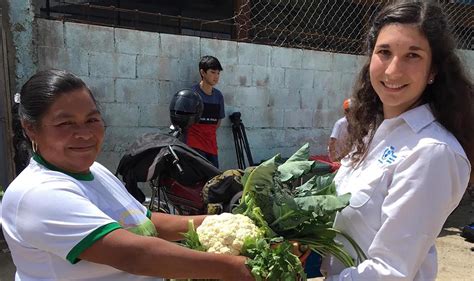 Kamu harcama ve muhasebe bilişim sistemi. Climate change and food insecurity in Guatemala | Feature ...