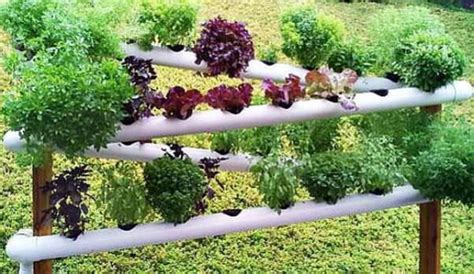 Is Pvc Plastic Safe To Use In An Organic Garden The