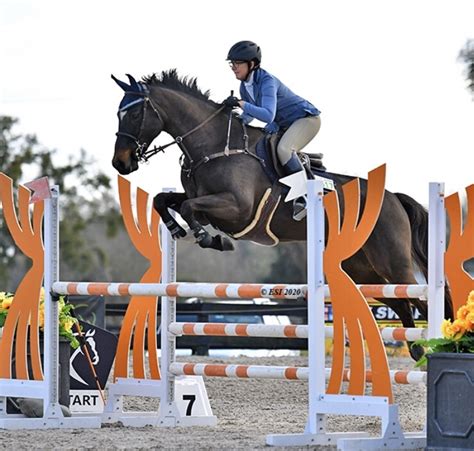 Blinkers And Buff Breeches Tales From A Bad Eventer