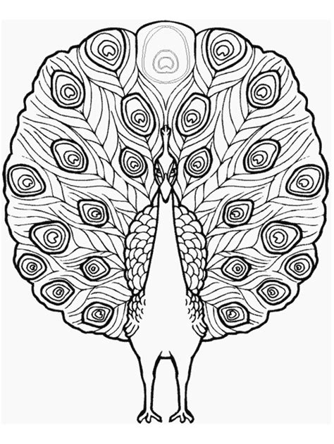 It can mimic the songs of other birds. Bird Color Page - Peacock coloring page for kids