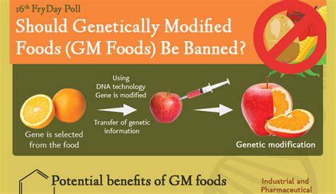 Genetic Modification Of Food Pros And Cons Advantages And