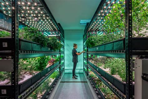 The Sustainability Of Vertical Farming — Inerjys