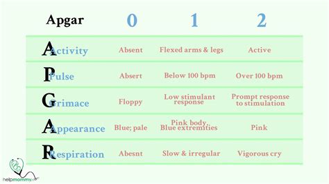 Apgar Scale