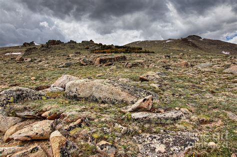 Rocky Tundra And Clouds Photograph By Michael Kirsh