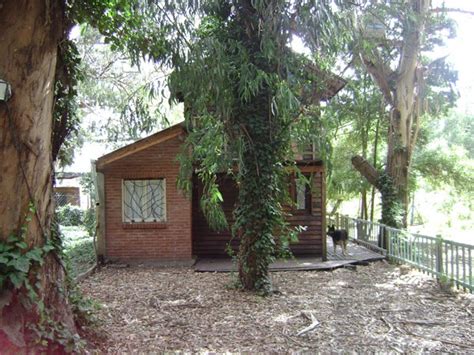 Cabañas And Casas Alquiler En El Bosque Peralta Ramos