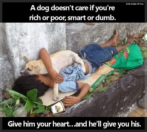 A Dog Doesnt Care If Youre Rich Or Poor Smart Or Dumb ~ Milo