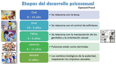 Image Result For Las Etapas Del Desarrollo Psicosexual Etapas Del 122720 Hot Sex Picture