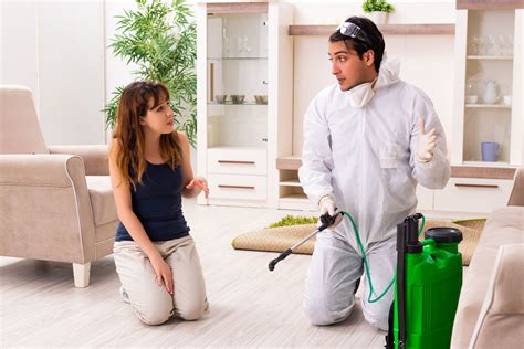 Pest Control Vs Exterminator What Are The Differences Reality Paper