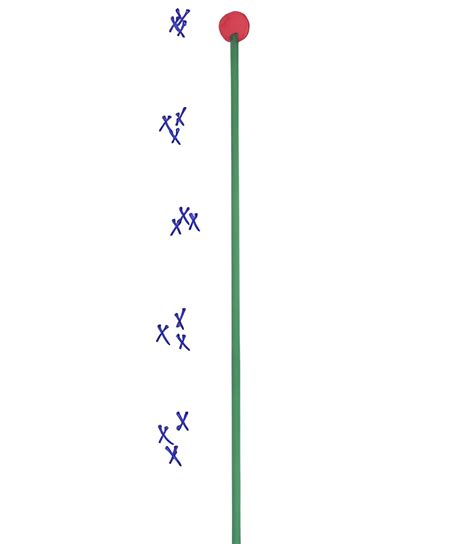 Walk back Tuning your Bow: Why and How to do it? - Sole Adventure