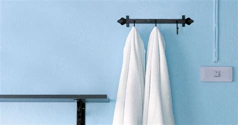 Check spelling or type a new query. How to get rid of that moldy smell in your home | About ...