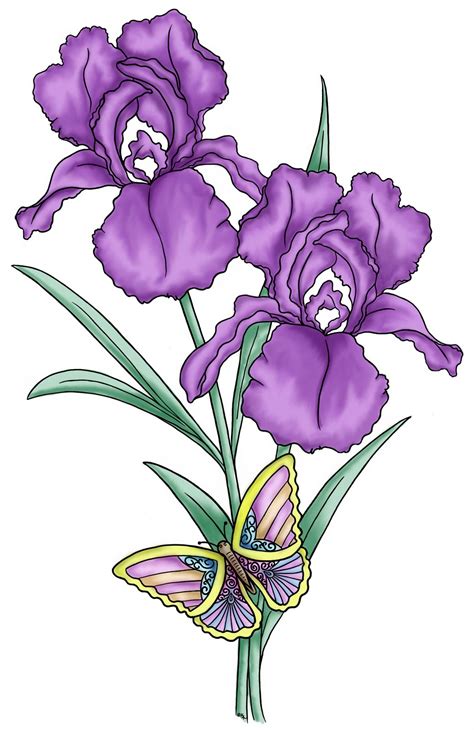 Dwarf Iris Clipart 20 Free Cliparts Download Images On Clipground 2020