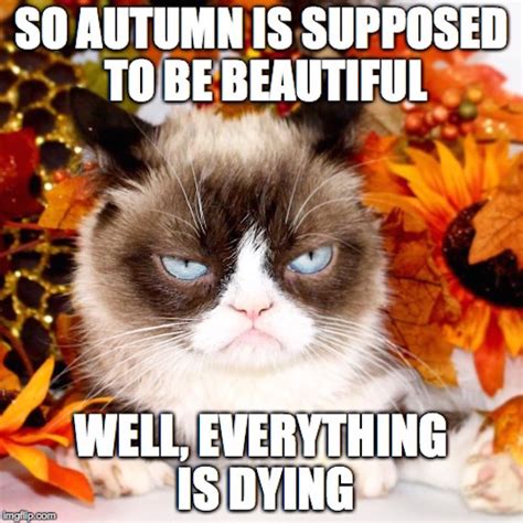 Autumnfall Memes Shaylys School Work