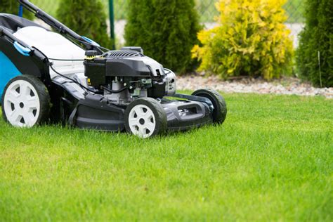 Best Commercial Push Mowers Reviews The Lawn Solutions