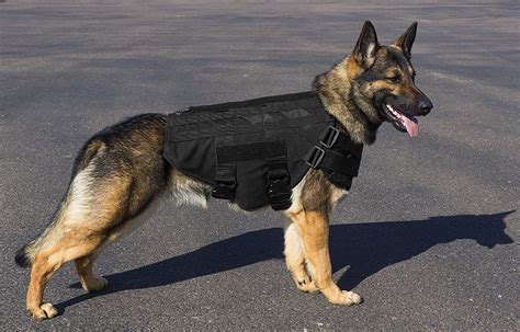 Caliberdog Ballistic Level Iii A Kevlar Working Dog Vest Active Dogs
