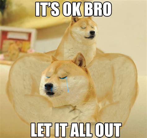 Le Emotional Support Has Arrived Ironic Doge Memes Know Your Meme