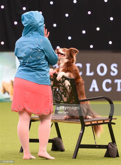Heelwork To Music Competition On Day 1 Of Crufts Dog Show At Nec