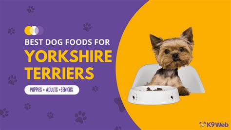 20 Best Dog Foods For Yorkies 2023 Premium And Budget K9 Web