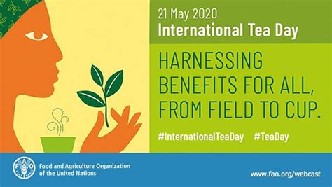 The First International Tea Day Itd Is Being Celebrated By United Nations On 21 May