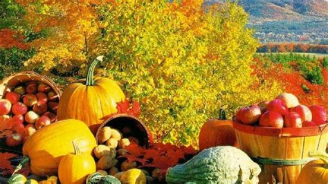 Fall Harvest Wallpaper Hd