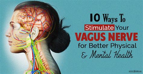 Simple Exercises To Stimulate The Vagus Nerve Book By Lars Lienhard Ulla Schmid Fetzer Eric